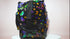 Epic LE Black Butterfly Skate Bag